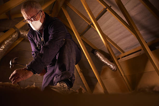 Best Residential Insulation in Elburn, IL